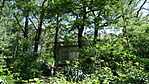 DSC02910