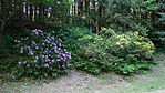 DSC03285