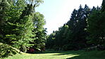 DSC03284