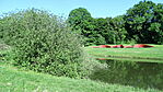 DSC03312