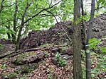 IMG_20250506_164722