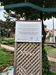 IMG_20250506_101949
