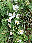 IMG_20250506_121851