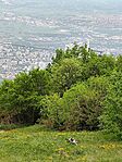 IMG_20250505_094602