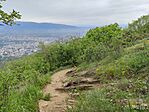 IMG_20250505_103325