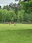 IMG_20250509_141912