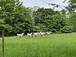 IMG_20250509_145948