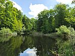IMG_20250510_113030