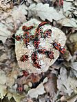 IMG_20250510_113912