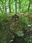 IMG_20250510_135844