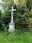 IMG_20250510_124904