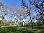 IMG_20250409_171343