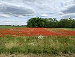 IMG_20250516_153206