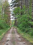 IMG_20250516_115445