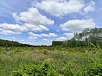 IMG_20250516_115048