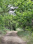 IMG_20250516_133406