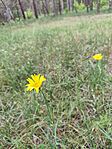 IMG_20250516_133543