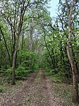 IMG_20250516_140109