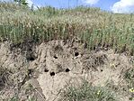 IMG_20250517_143147
