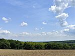 IMG_20250520_120950