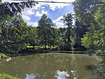 IMG_20250520_093054