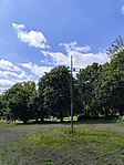 IMG_20250520_100342
