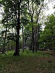 IMG_20250525_131935