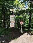 IMG_20250525_135825