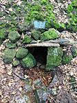 IMG_20250525_151450