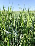 IMG_20250528_075742