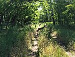 IMG_20250528_081411