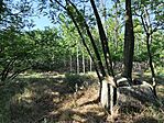 IMG_20250528_082324