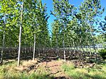 IMG_20250528_082906