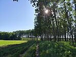 IMG_20250528_080521