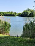 IMG_20250528_093426