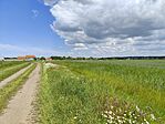 IMG_20250528_110206