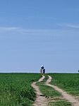 IMG_20250503_105655