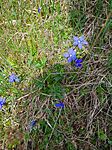 IMG_20250510_142923