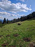 IMG_20250510_163326