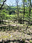 IMG_20250502_131124
