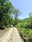 IMG_20250502_131235