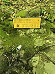 IMG_20250503_121017