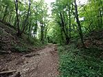 IMG_20250503_145452892