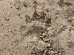 IMG_20250503_171113775