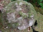 IMG_20250503_172929224