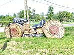 IMG_20250426_151936