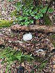 IMG_20250524_160729