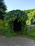 IMG_20250524_091127