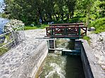IMG_20250502_145613