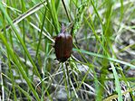IMG_20250502_135227